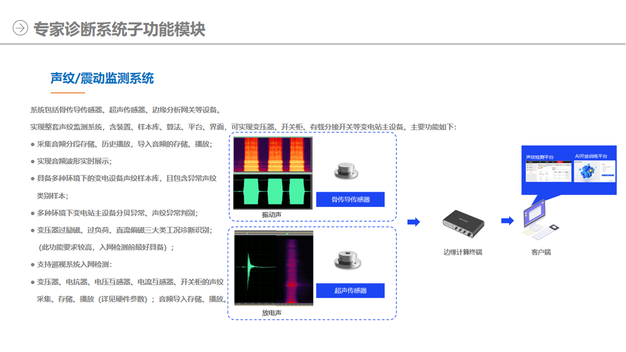 声纹/震动监测系统